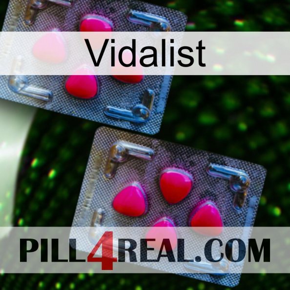 Vidalist 14.jpg